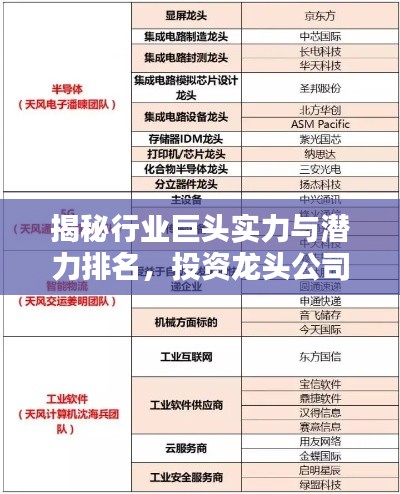 揭秘行业巨头实力与潜力排名,投资龙头公司的首选参考