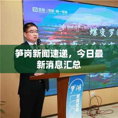 笋岗新闻速递,今日最新消息汇总