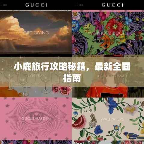 小鹿旅行攻略秘籍,最新全面指南