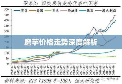 磨芋价格走势深度解析