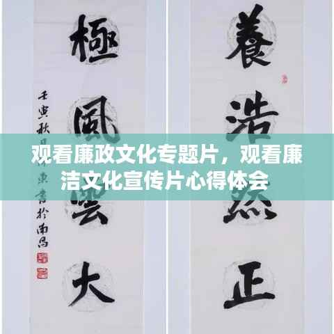 观看廉政文化专题片,观看廉洁文化宣传片心得体会