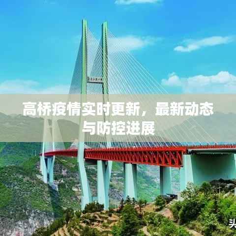 高桥疫情实时更新,最新动态与防控进展