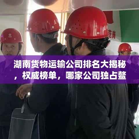 湖南货物运输公司排名大揭秘,权威榜单,哪家公司独占鳌头?