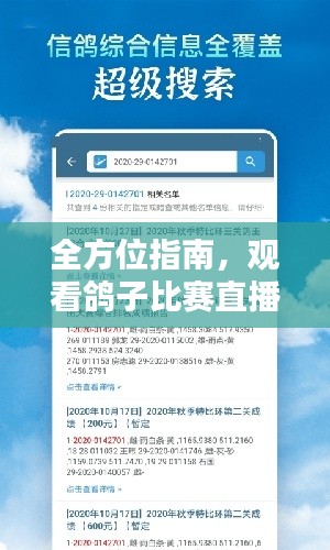 全方位指南,观看鸽子比赛直播的最佳平台与渠道!