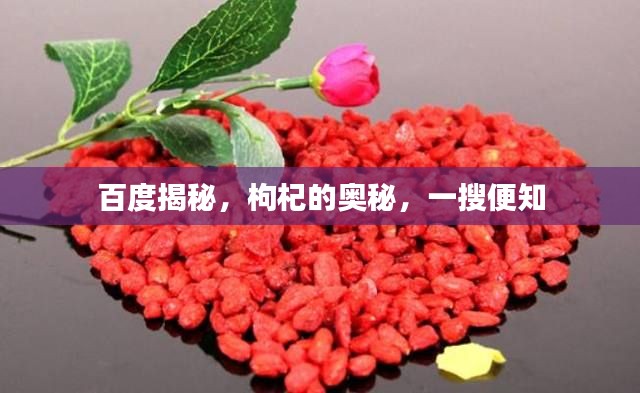 百度揭秘,枸杞的奥秘,一搜便知