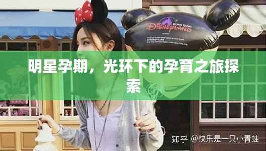 明星孕期,光环下的孕育之旅探索