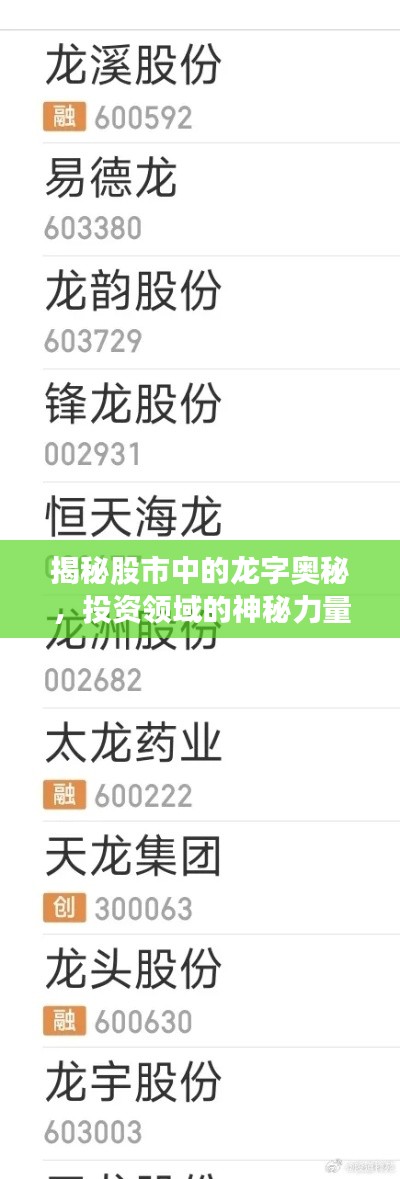 揭秘股市中的龙字奥秘,投资领域的神秘力量探索