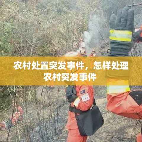农村处置突发事件,怎样处理农村突发事件