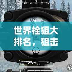 世界栓狙大排名,狙击枪界的翘楚榜单揭晓!