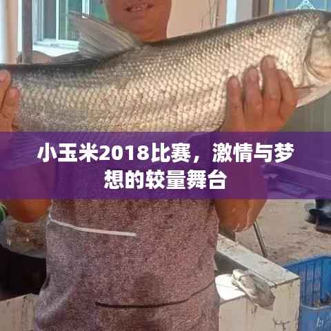 小玉米2018比赛,激情与梦想的较量舞台
