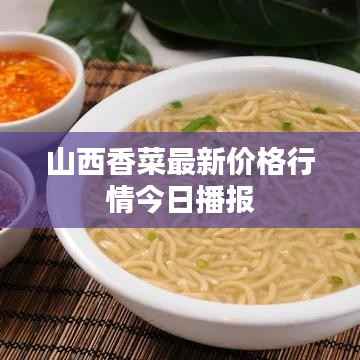 山西香菜最新价格行情今日播报