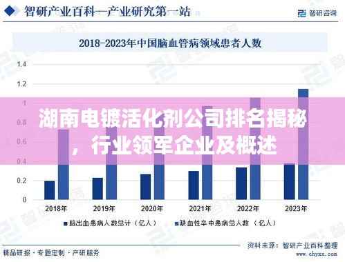 湖南电镀活化剂公司排名揭秘,行业领军企业及概述