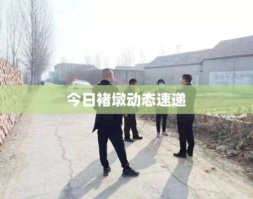 今日褚墩动态速递