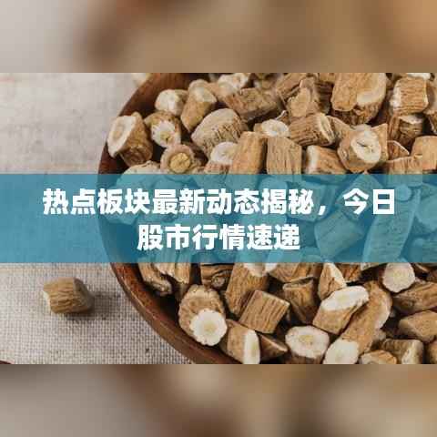 热点板块最新动态揭秘,今日股市行情速递