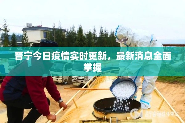 晋宁今日疫情实时更新,最新消息全面掌握