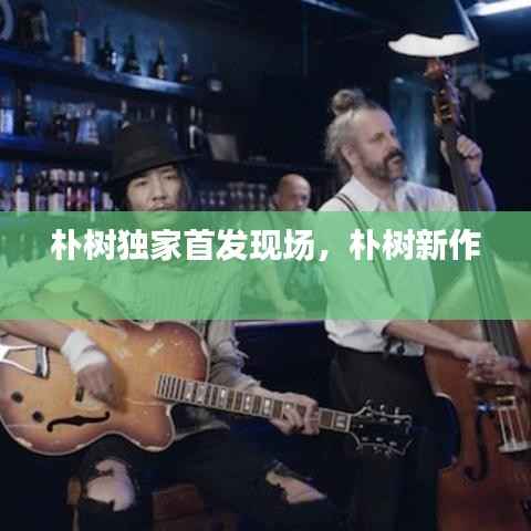 朴树独家首发现场，朴树新作 