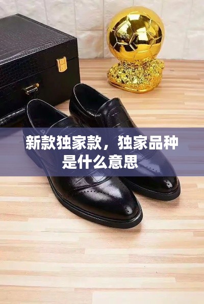 新款独家款,独家品种是什么意思