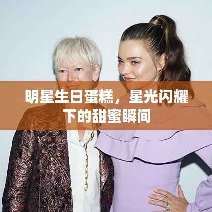 明星生日蛋糕,星光闪耀下的甜蜜瞬间