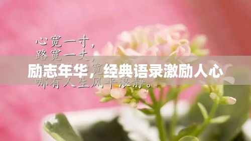 励志年华,经典语录激励人心