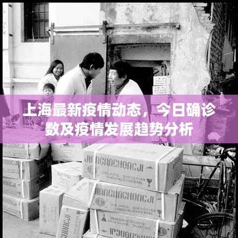 上海最新疫情动态,今日确诊数及疫情发展趋势分析