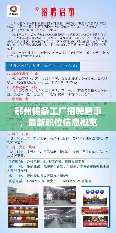 鄂州锡条工厂招聘启事,最新职位信息概览