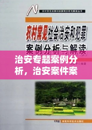 治安专题案例分析,治安案件案例