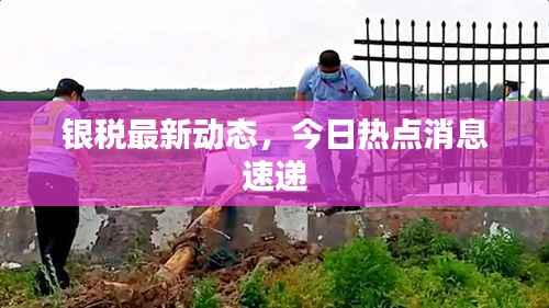 银税最新动态,今日热点消息速递