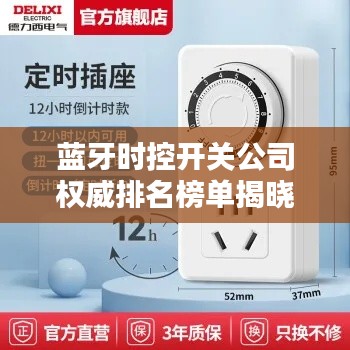 蓝牙时控开关公司权威排名榜单揭晓!