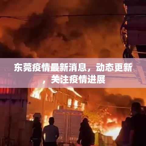 东莞疫情最新消息,动态更新,关注疫情进展