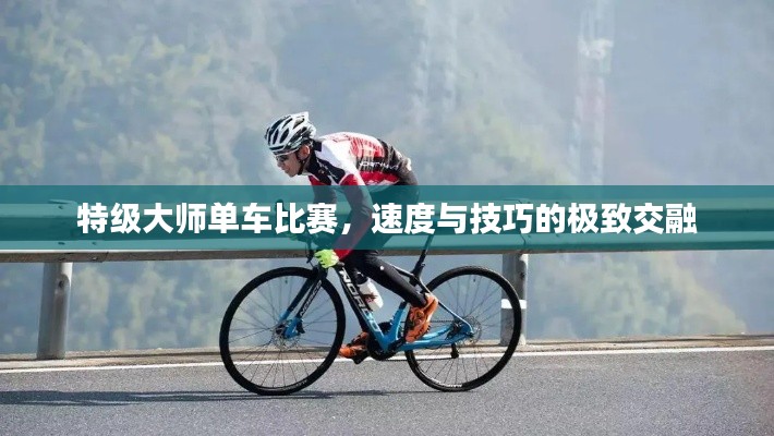 特级大师单车比赛，速度与技巧的极致交融