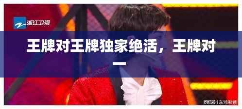 王牌对王牌独家绝活,王牌对一