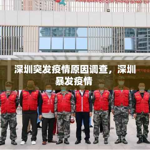 深圳突发疫情原因调查，深圳暴发疫情 