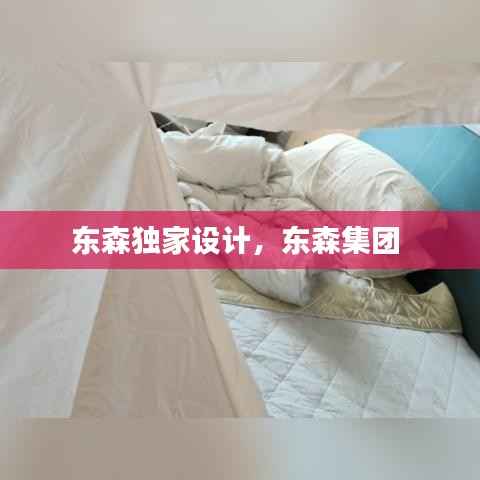 东森独家设计,东森集团