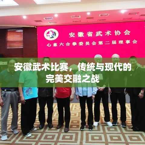 安徽武术比赛,传统与现代的完美交融之战