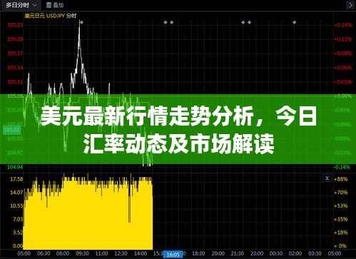 美元最新行情走势分析,今日汇率动态及市场解读