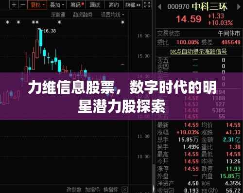 力维信息股票，数字时代的明星潜力股探索