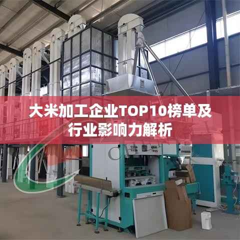 大米加工企业TOP10榜单及行业影响力解析