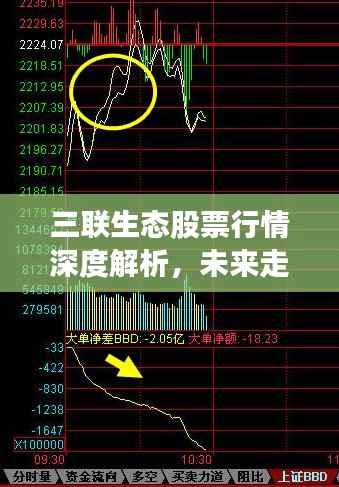 三联生态股票行情深度解析,未来走势预测
