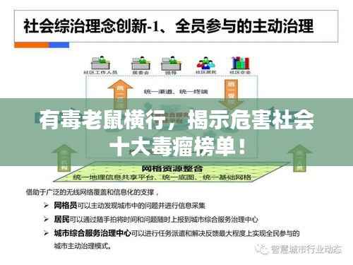 有毒老鼠横行，揭示危害社会十大毒瘤榜单！