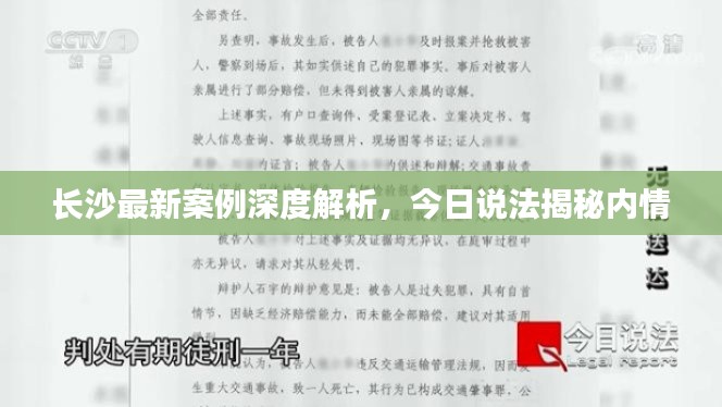 长沙最新案例深度解析,今日说法揭秘内情