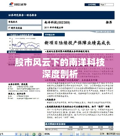 股市风云下的南洋科技深度剖析