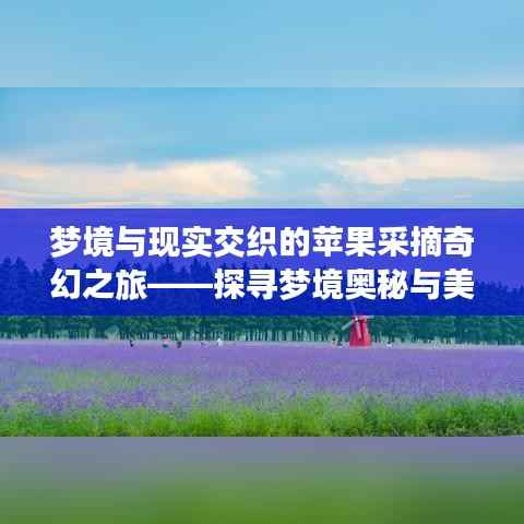 梦境与现实交织的苹果采摘奇幻之旅——探寻梦境奥秘与美好果实